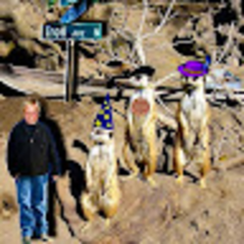 Meet your Posher, Cecile